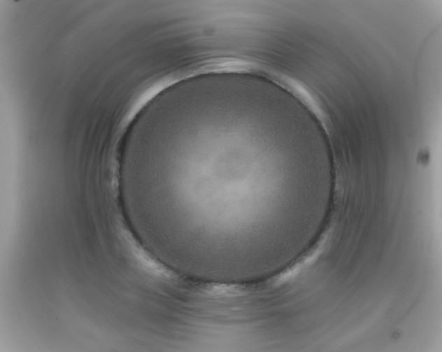 X0000091930835200709051500
