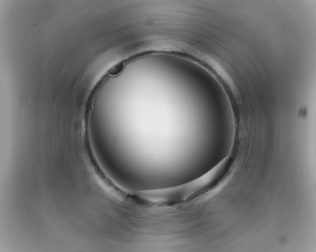 X0000091930837200709051500
