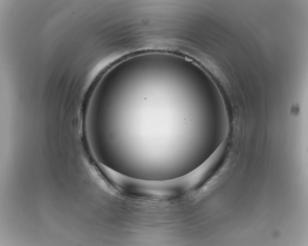X0000091930838200709051500