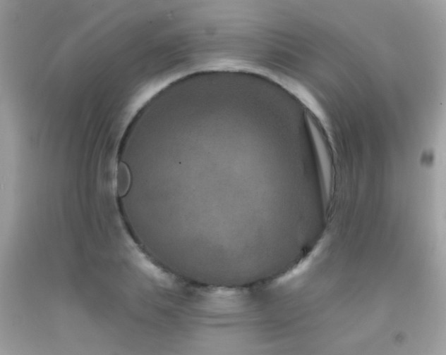 X0000091930839200709051500