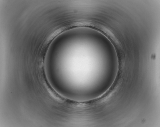X0000091930841200709051500