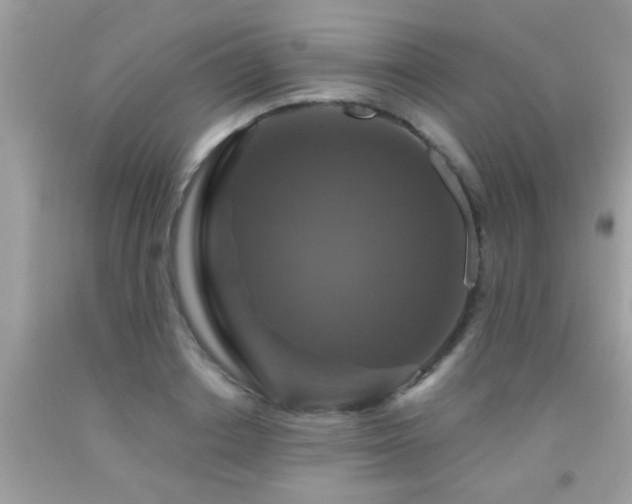 X0000091930842200709051500
