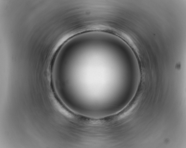 X0000091930843200709051500