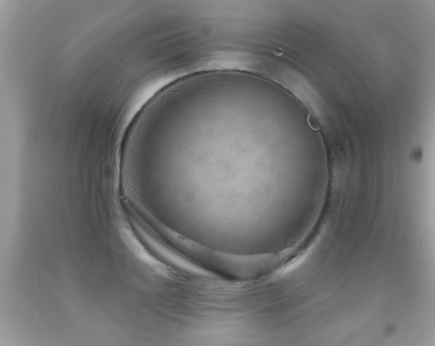 X0000091930844200709051500
