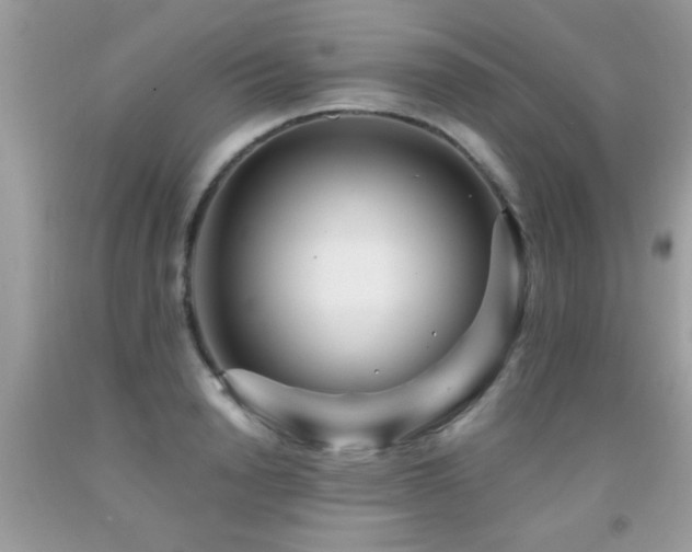 X0000091930846200709051500