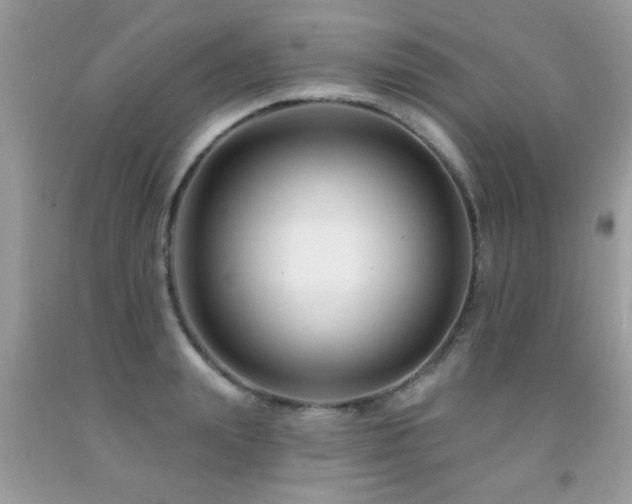 X0000091930847200709051500