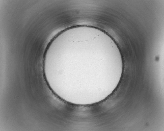 X0000091930848200709051500