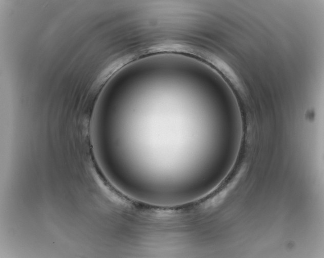 X0000091930849200709051500