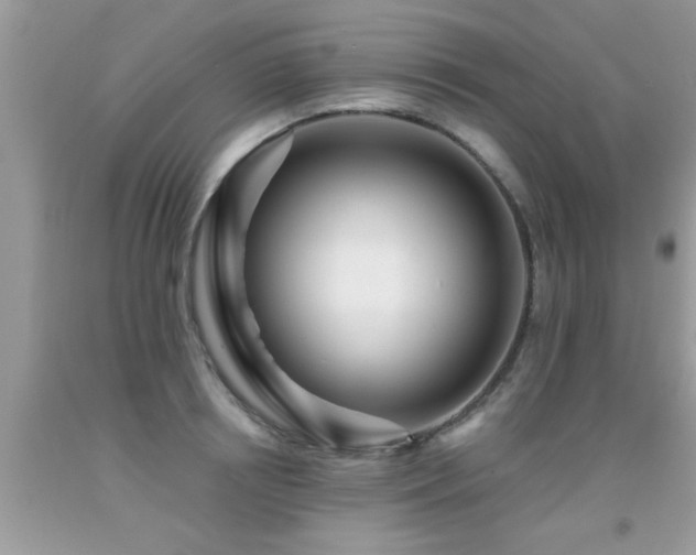 X0000091930850200709051500