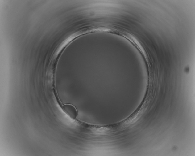 X0000091930851200709051500