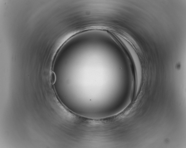 X0000091930852200709051500