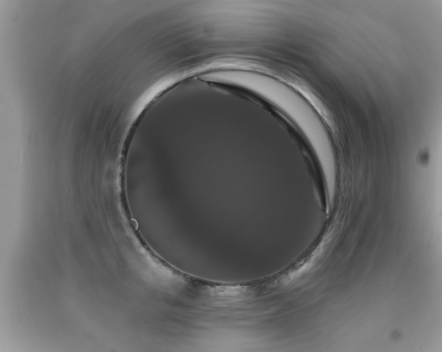 X0000091930853200709051500