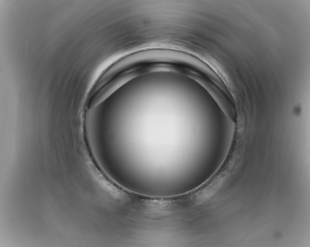 X0000091930854200709051500