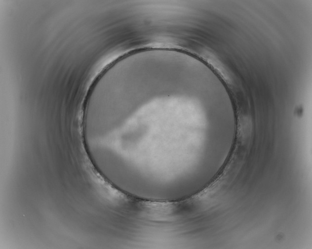 X0000091930856200709051500