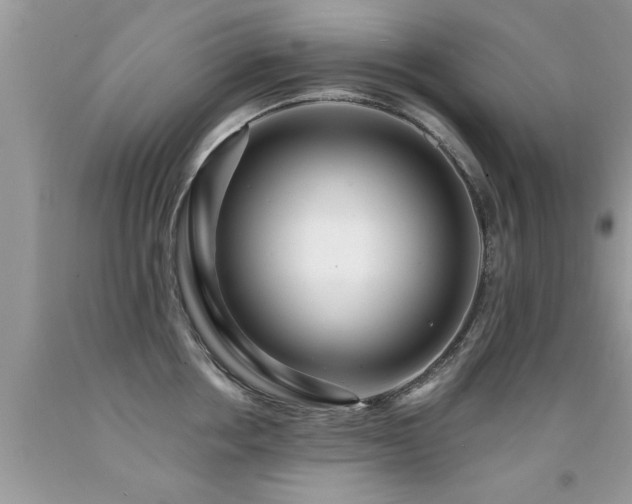 X0000091930858200709051500