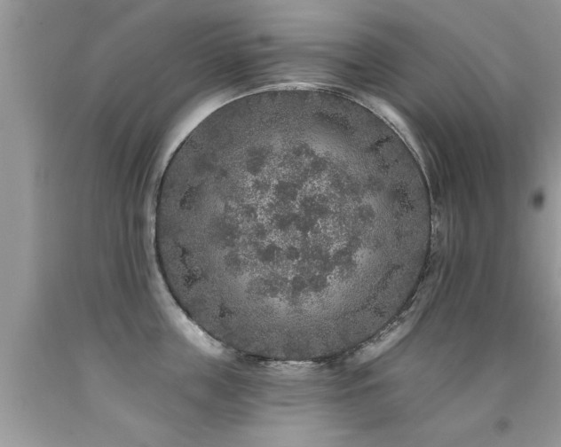 X0000091930859200709051500