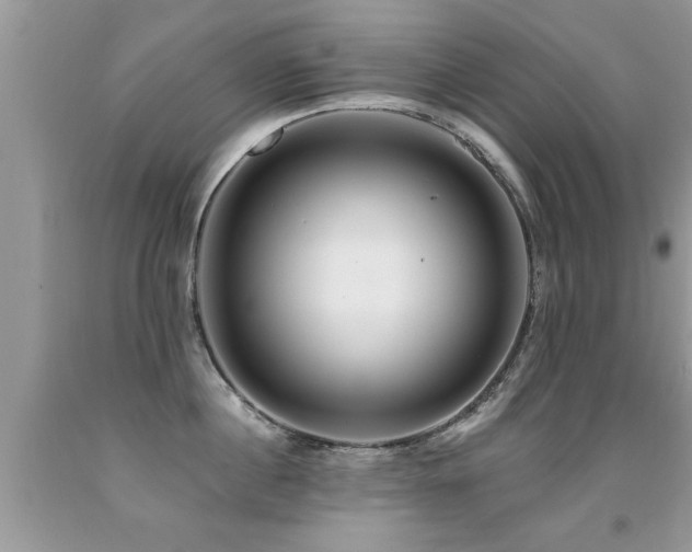 X0000091930860200709051500
