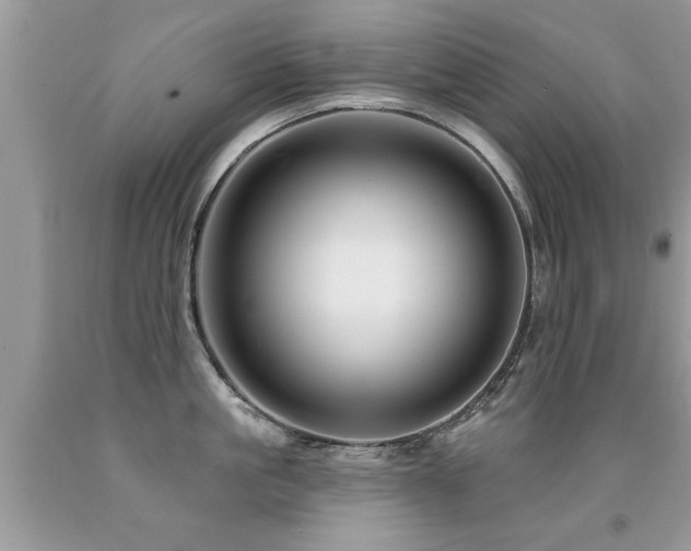 X0000091930861200709051500