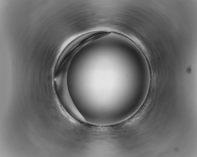 X0000091930862200709051500