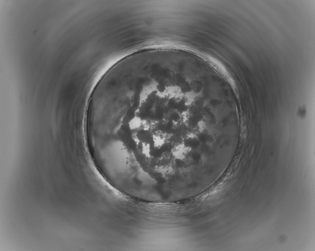 X0000091930863200709051500