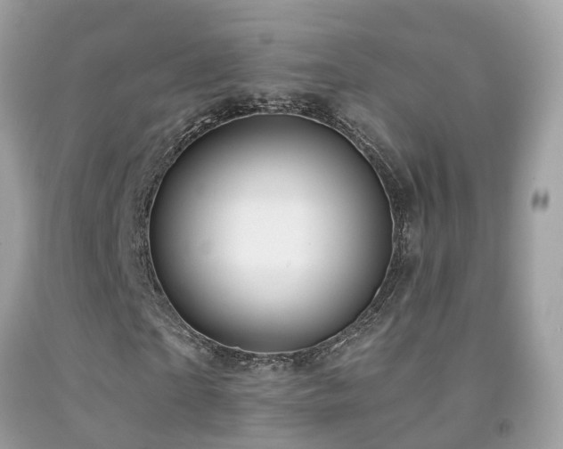 X0000091930865200709051459