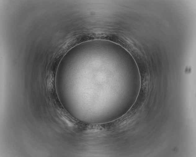 X0000091930866200709051459