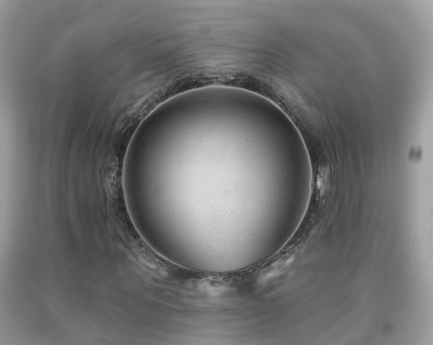 X0000091930867200709051459