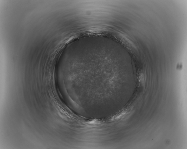 X0000091930868200709051459