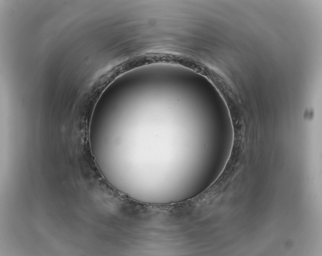 X0000091930870200709051459
