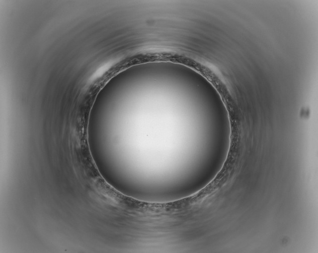 X0000091930871200709051459