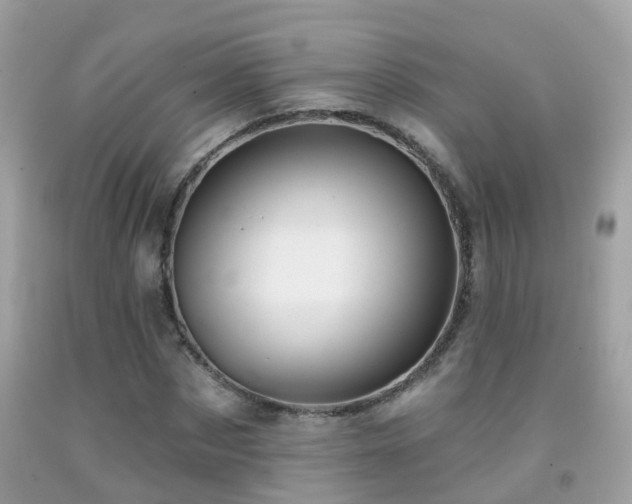 X0000091930873200709051459