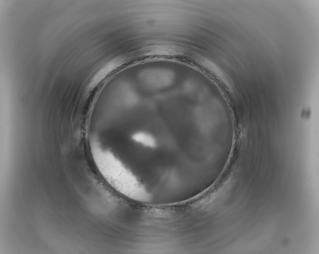 X0000091930874200709051459