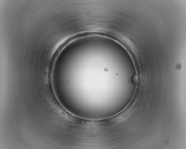 X0000091930875200709051459
