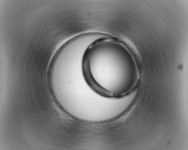 X0000091930876200709051459