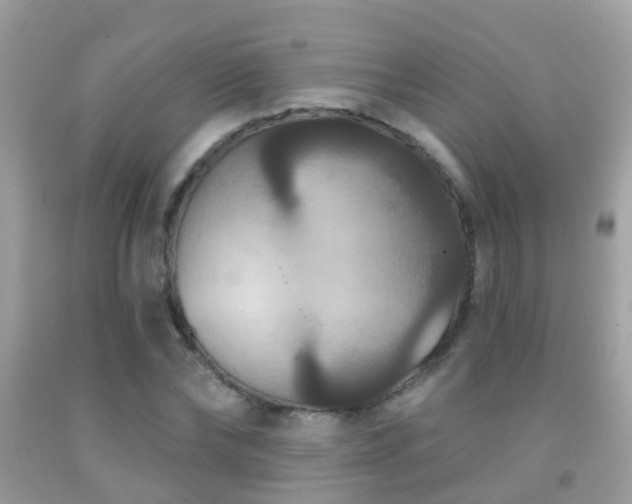 X0000091930878200709051459