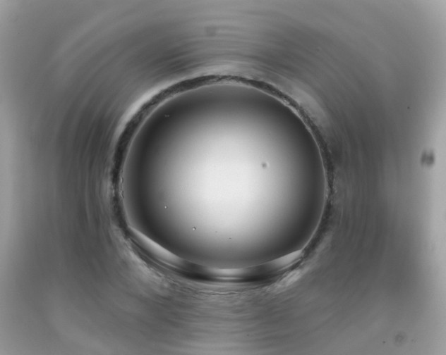 X0000091930880200709051459