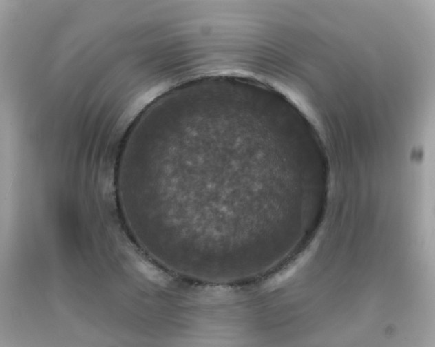 X0000091930881200709051459