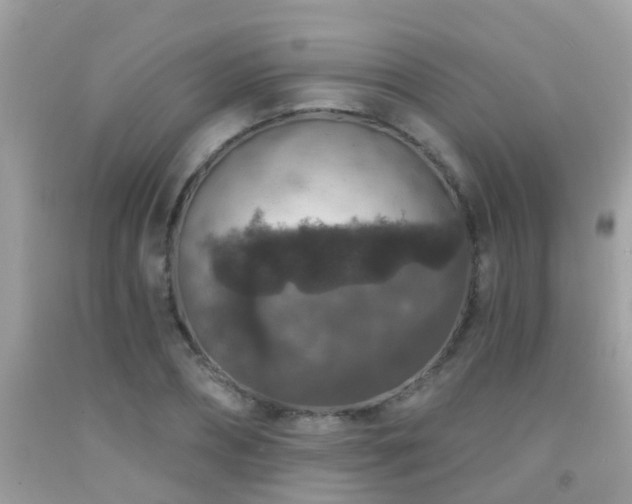 X0000091930882200709051459