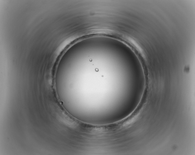 X0000091930883200709051459