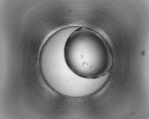 X0000091930884200709051459