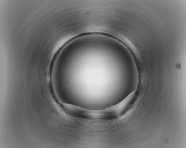 X0000091930885200709051459