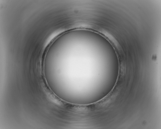X0000091930886200709051459