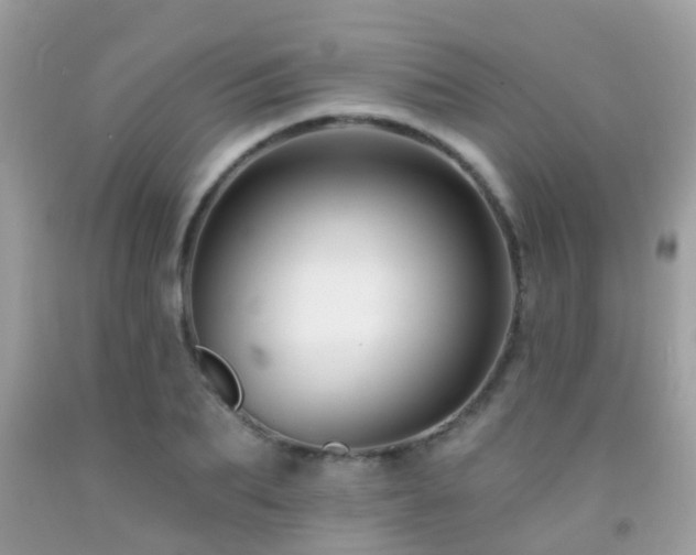 X0000091930887200709051459