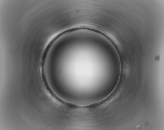X0000091930888200709051459