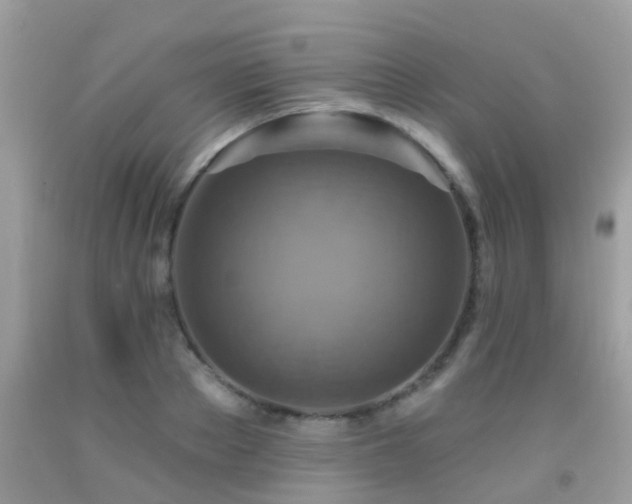 X0000091930889200709051459