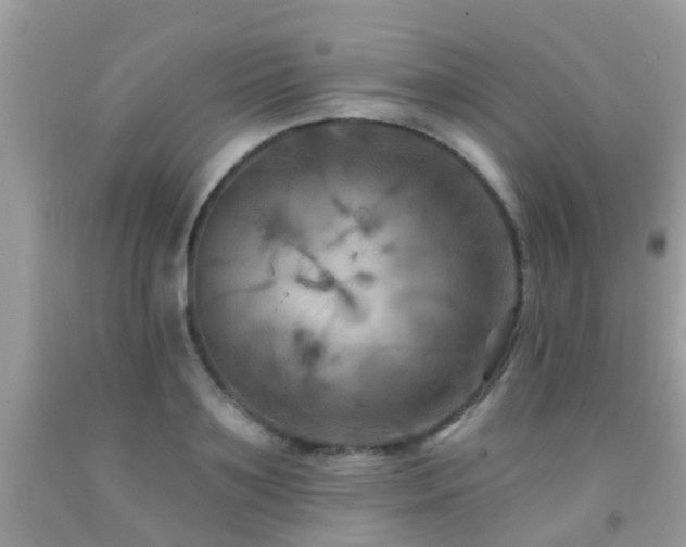X0000091930891200709051459