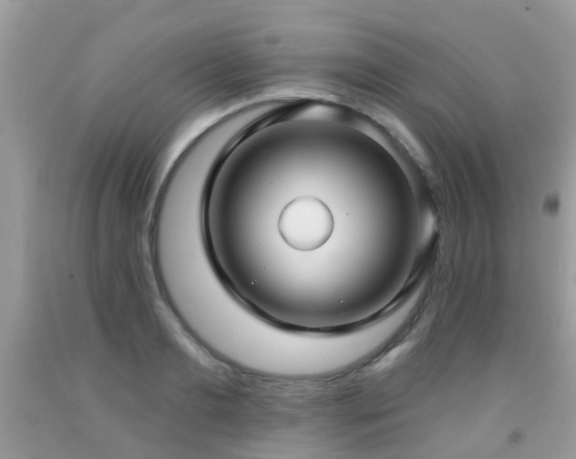 X0000091930893200709051459