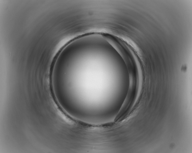 X0000091930894200709051459