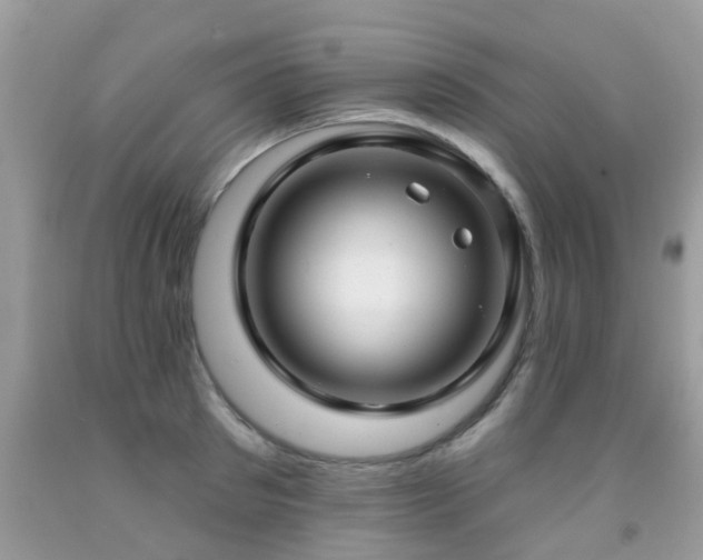 X0000091930897200709051459