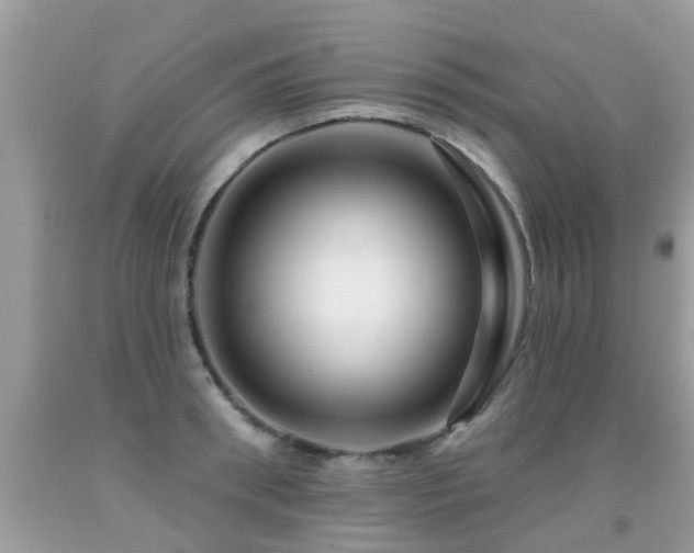 X0000091930898200709051459